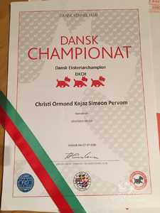 Neuer Dänischer Champion