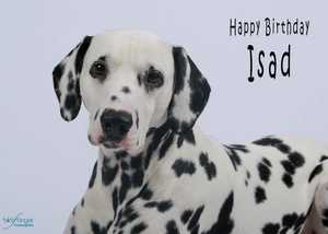 Happy Birthday Isad!!!