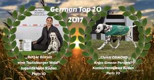 German Top 20