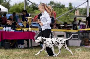 European Scenthound Specialty Show 2021, Pápa (HU)